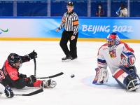 米兰体育竞技-包含捷克代表团奋勇争先，注目荣誉的词条