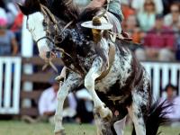 米兰体育app-包含南美洲冠级比赛进入白热化阶段，扣人心弦的词条